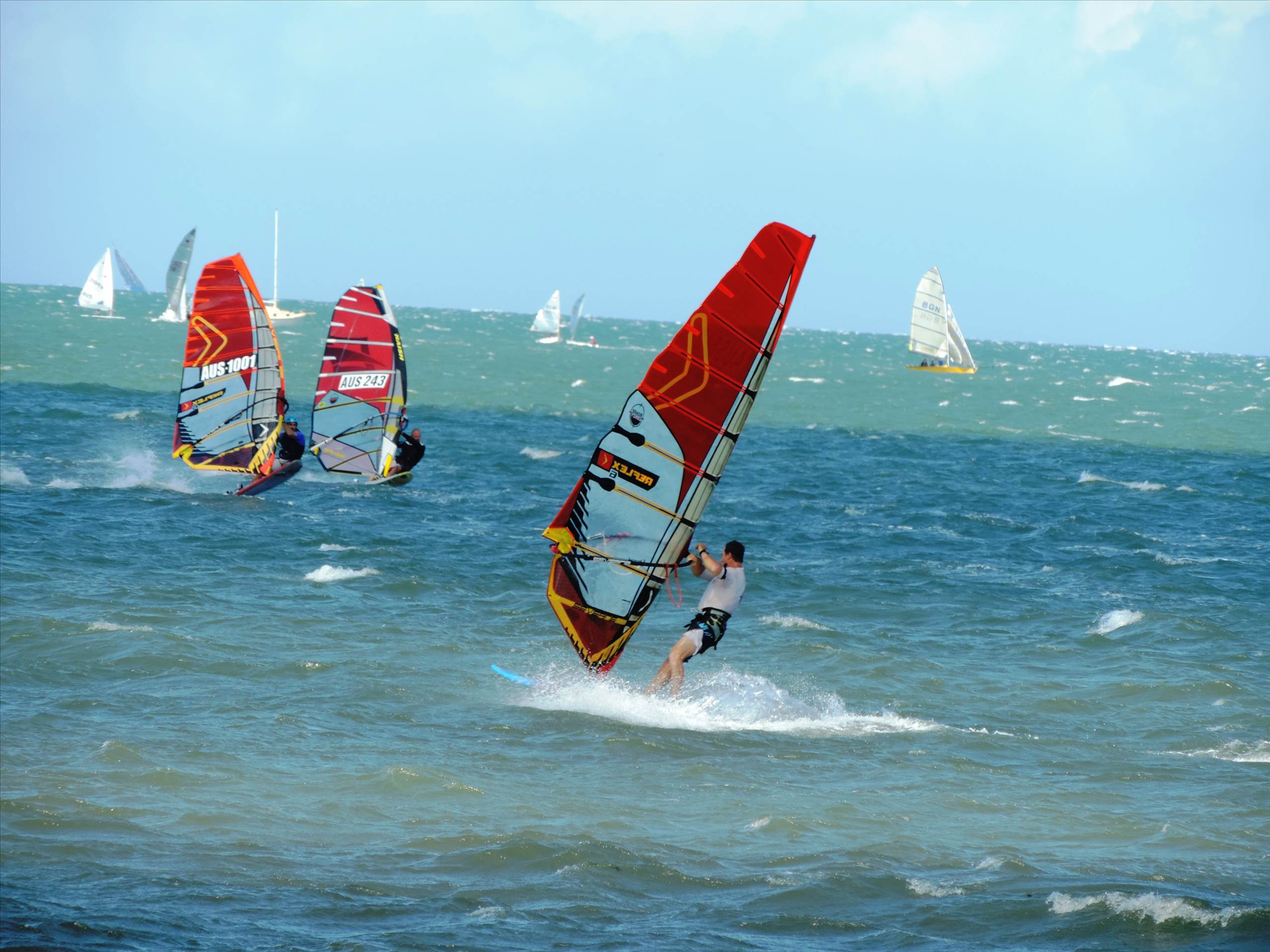 Bayside Slalom 15/11/2015
