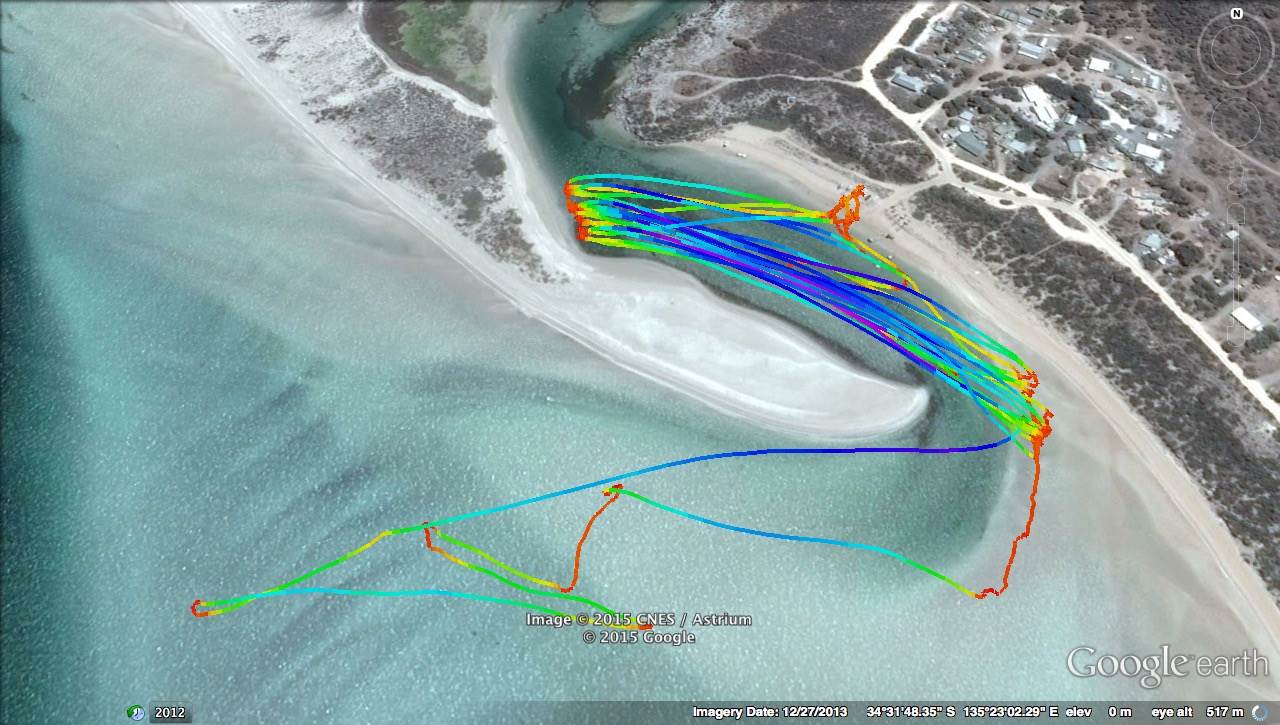 Little Douglas 20-12-15
