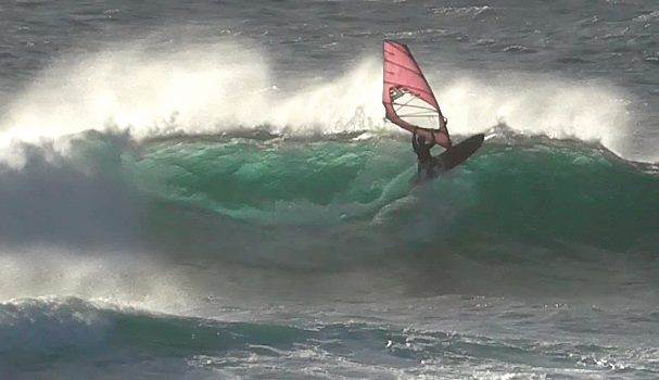 12651131 934952129920509 446860705998978918 n