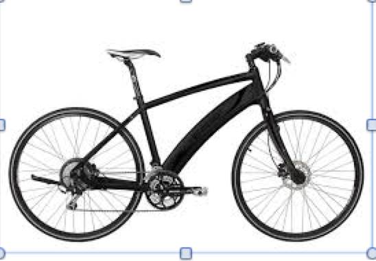 Lost Electric Bike