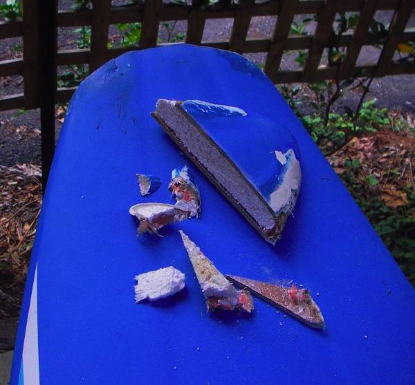 Ya just gotta do what ya just gotta do