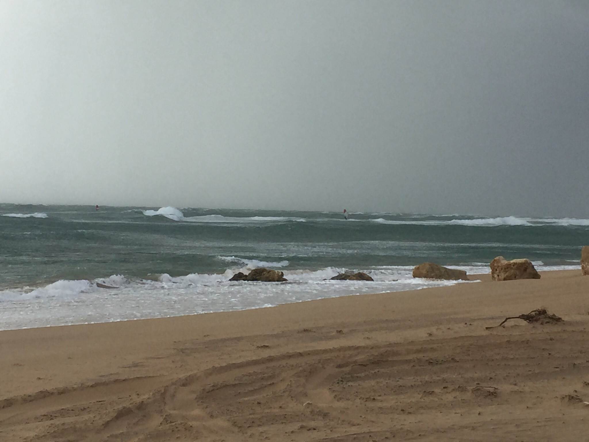 Gearies front may 16