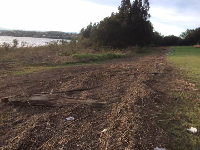 Primbee after the king tide