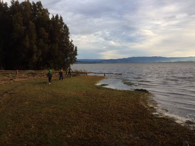 Primbee after the king tide