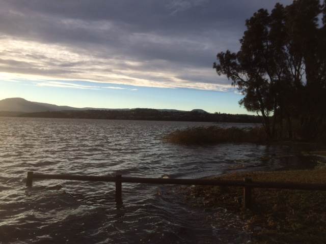 Primbee after the king tide