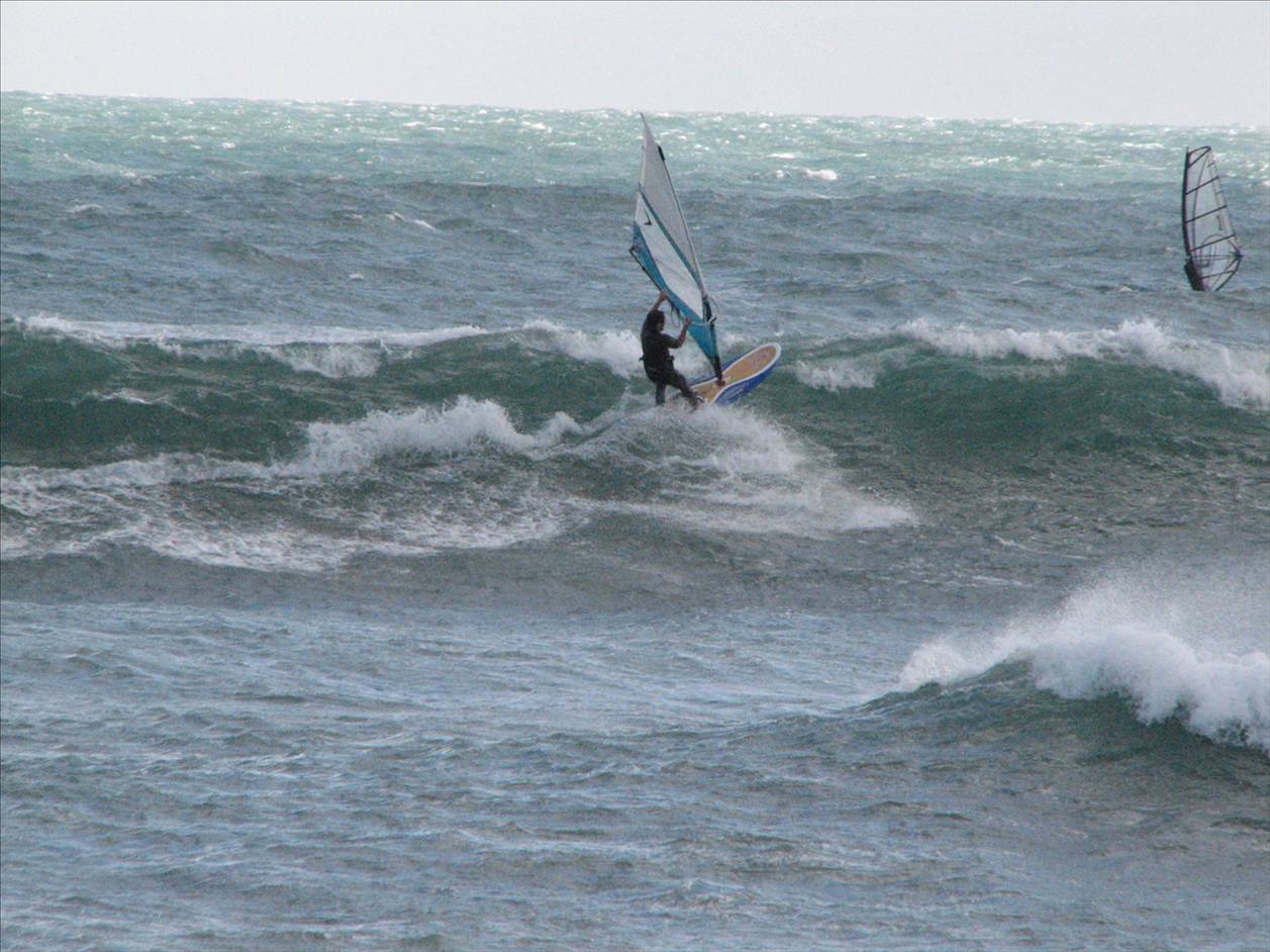 a few people who came over to try out my new paddle pool