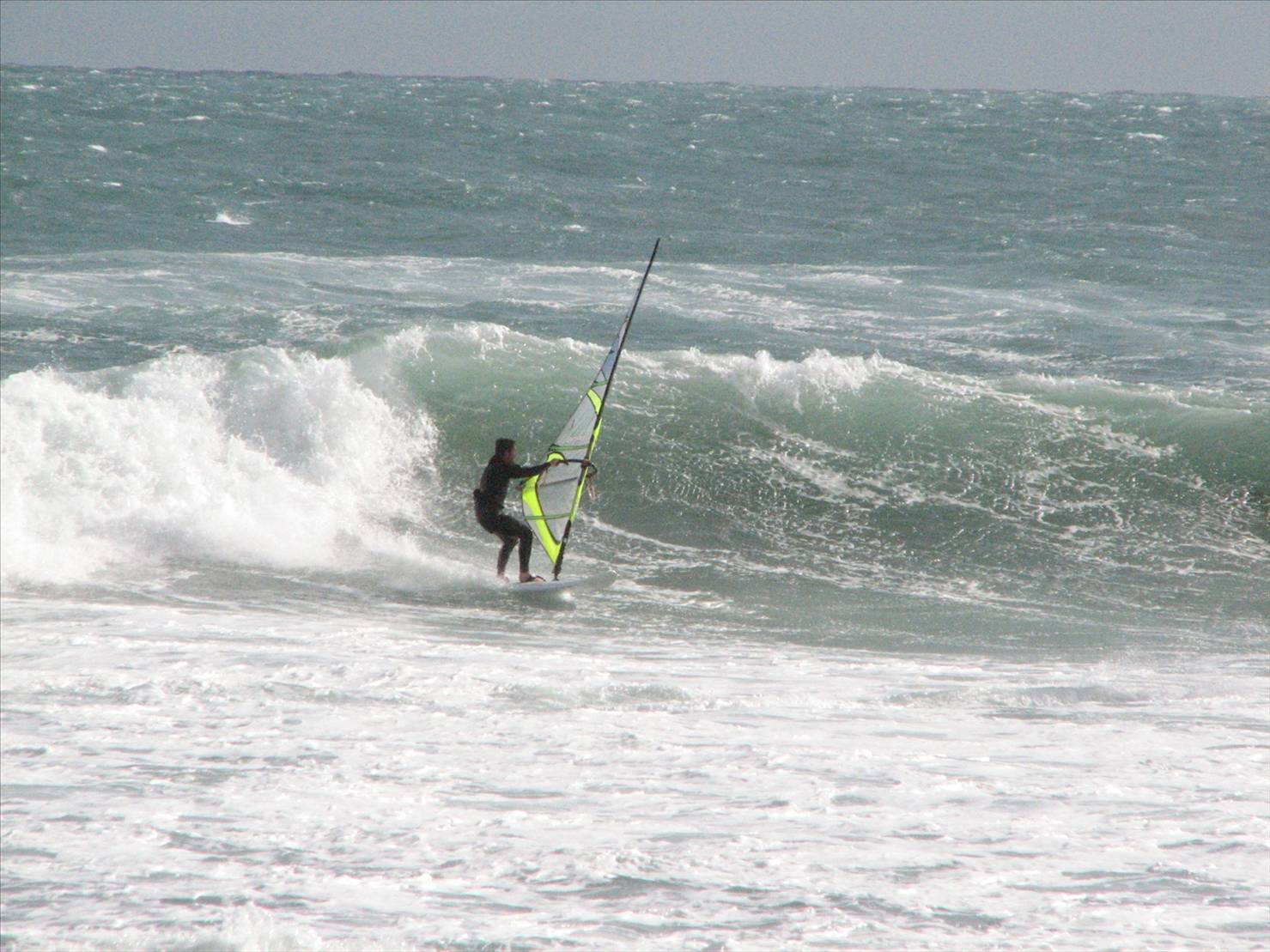 a few people who came over to try out my new paddle pool