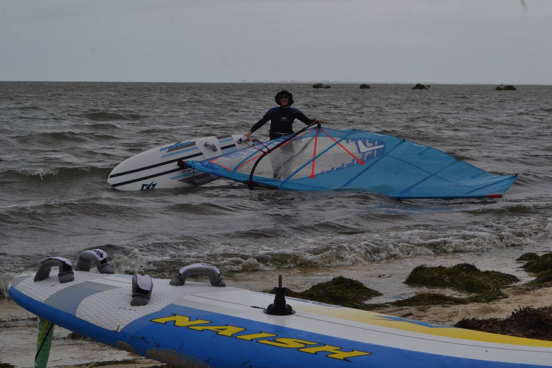 Janet Sandstone 19Dec2016 1