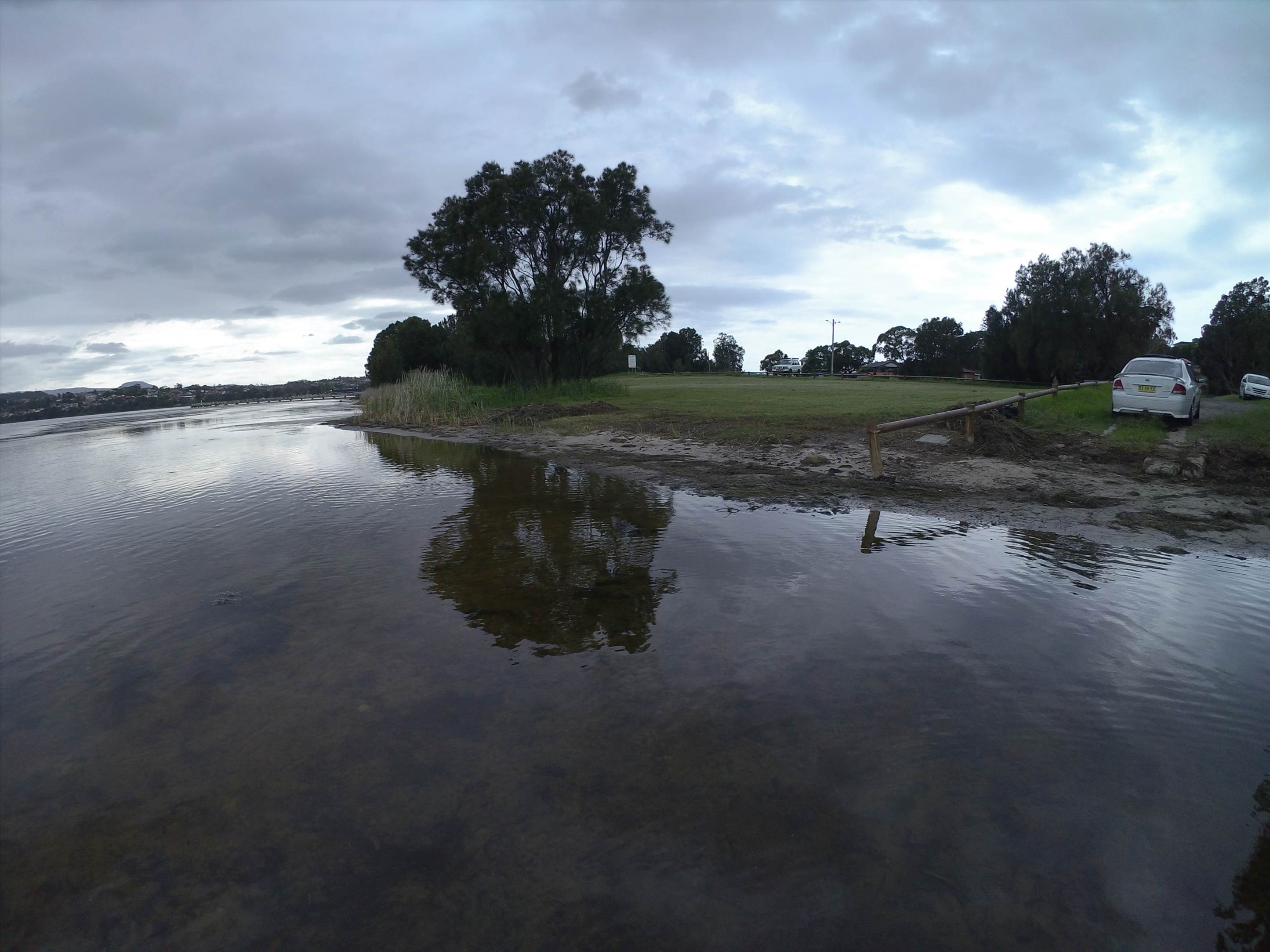 Cleaning Lake Illawarra