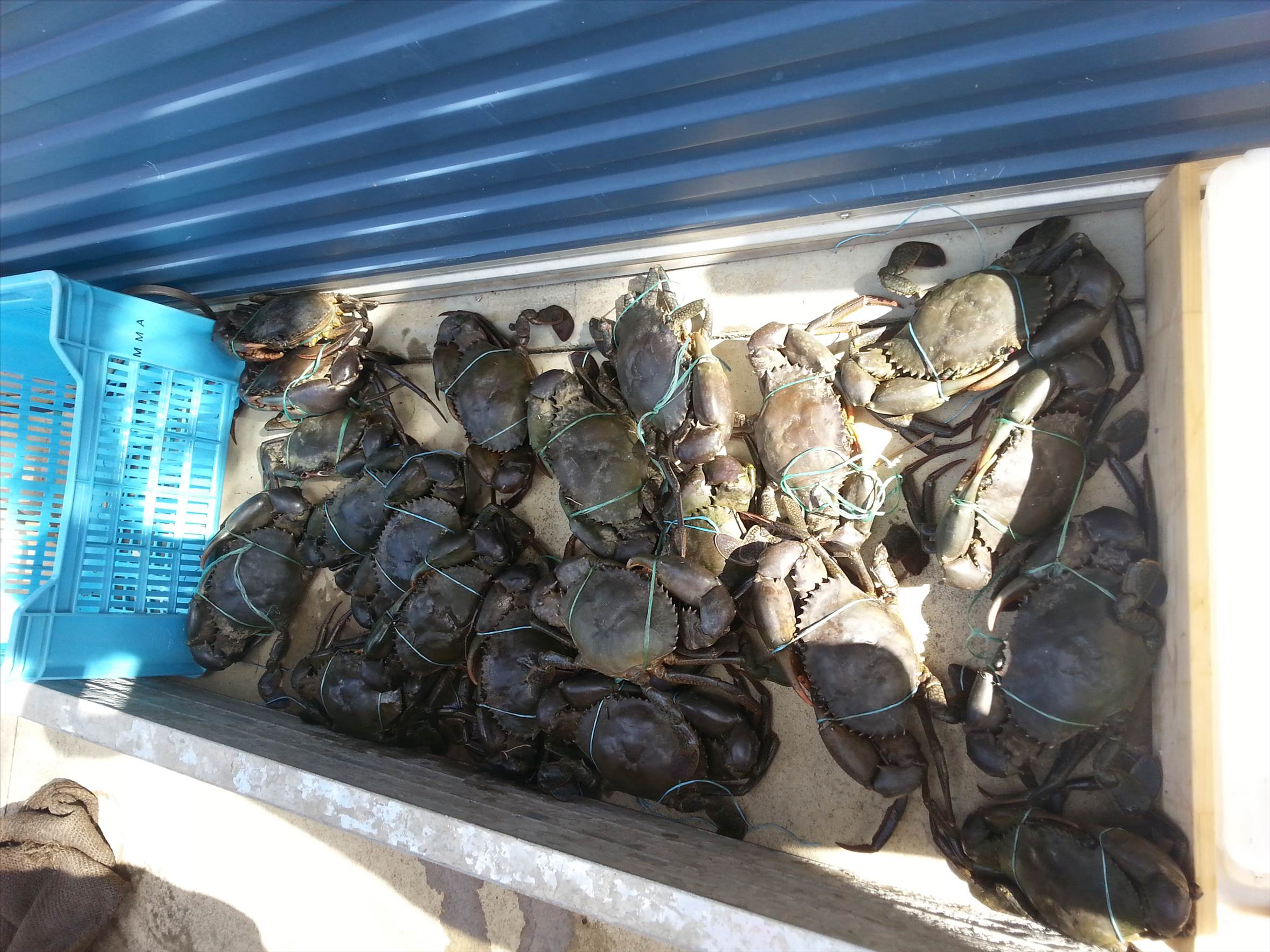 Adventure to Burrum Heads and Surround's