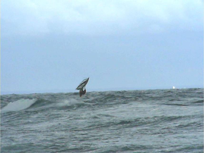 Staffe@mölle 07082007