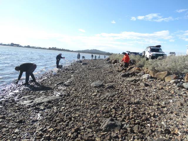 21192346 1429367453766668 8588087974602420099 n