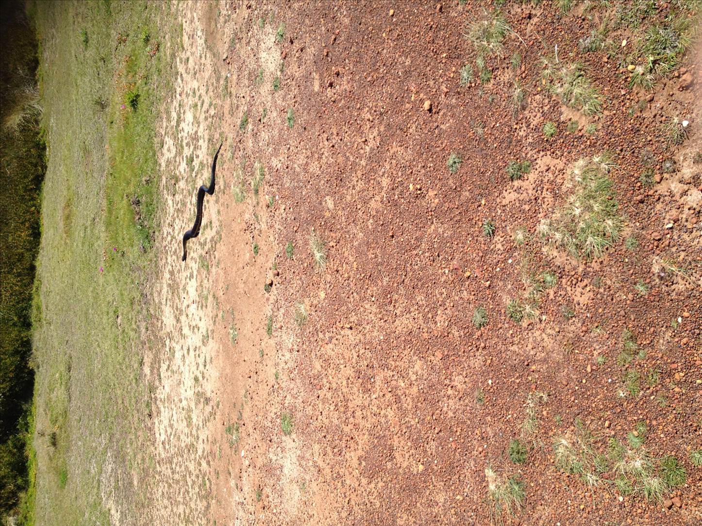 2017-10-17 14.24.49-1