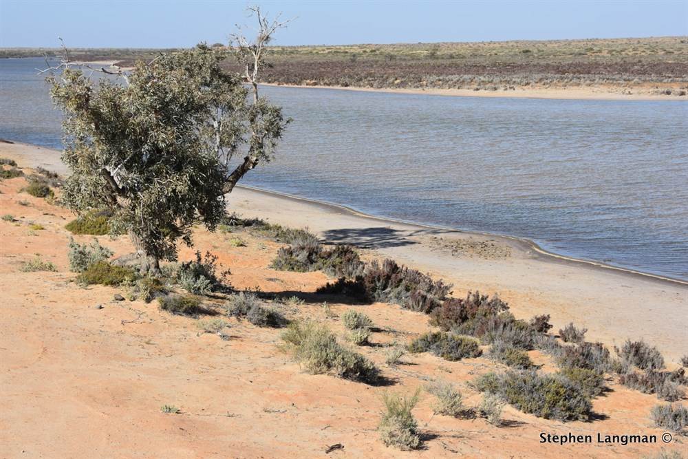 109594 17  TN1000x800