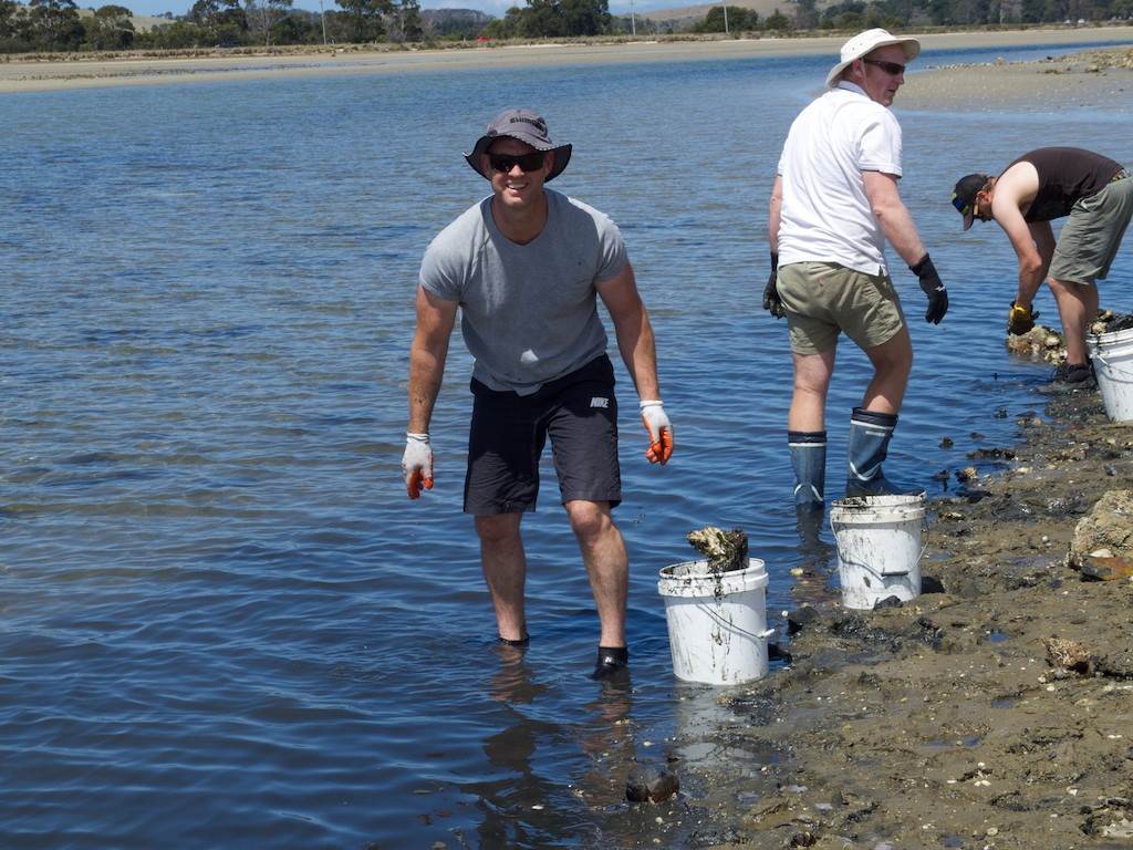 Oyster Clean Up