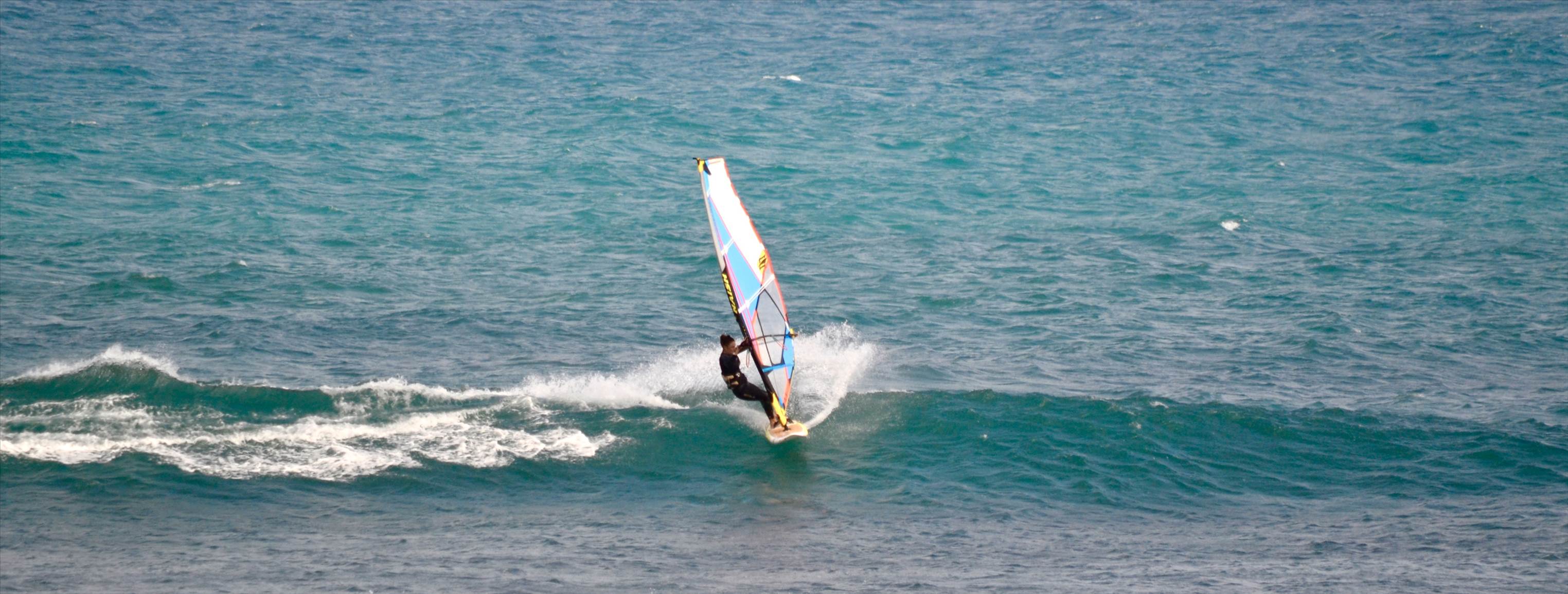 the gentle giant and other stars