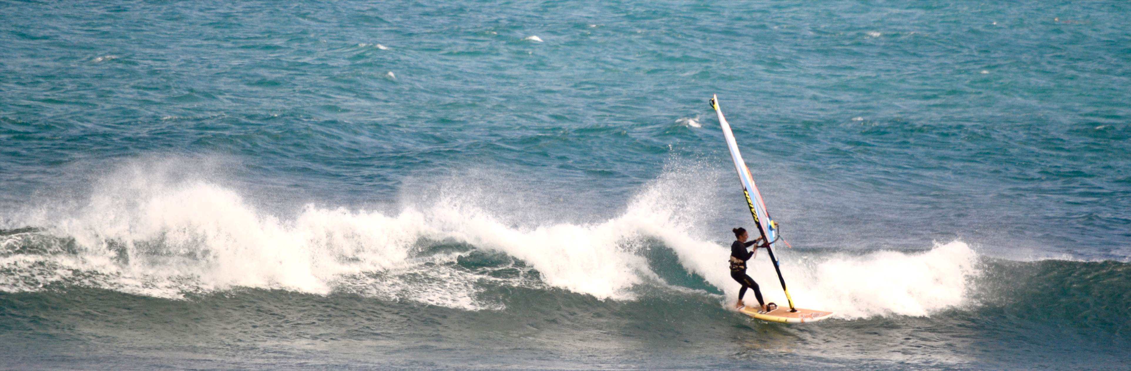 the gentle giant and other stars