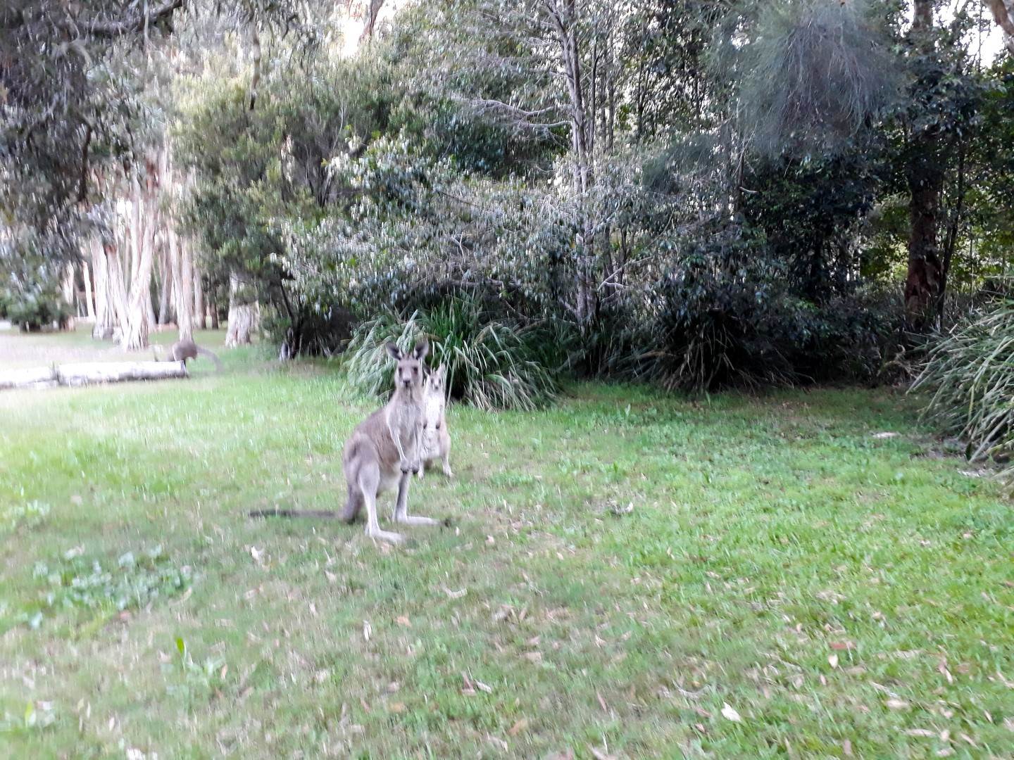 20171130 192333 (Large)