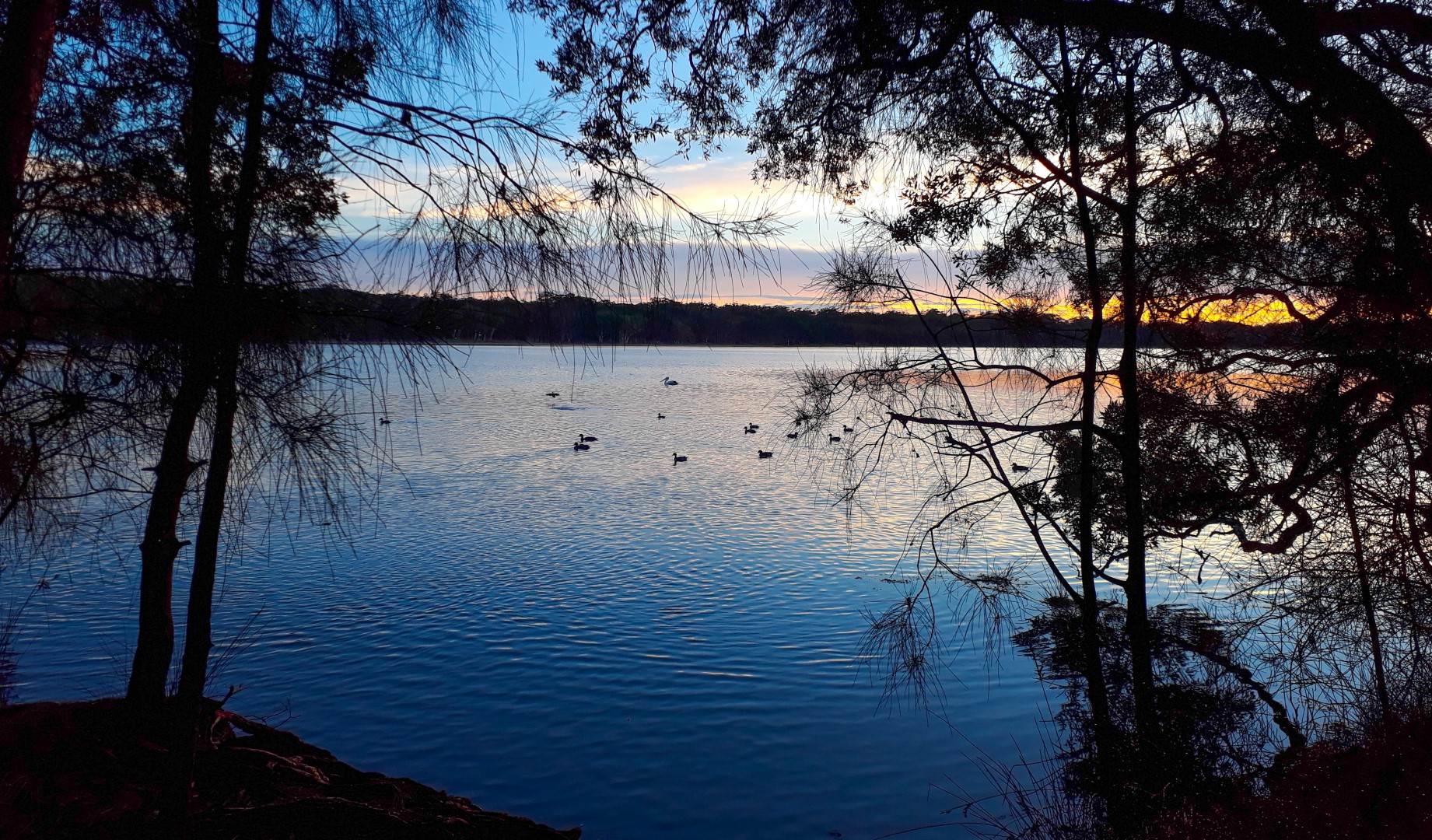 20171203 054721 (Large)