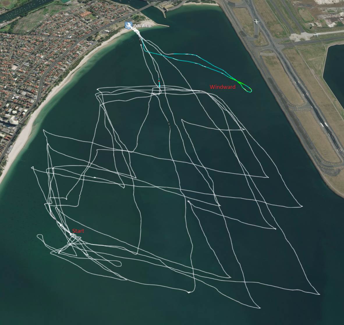 Alfamale Oz Champ Day1