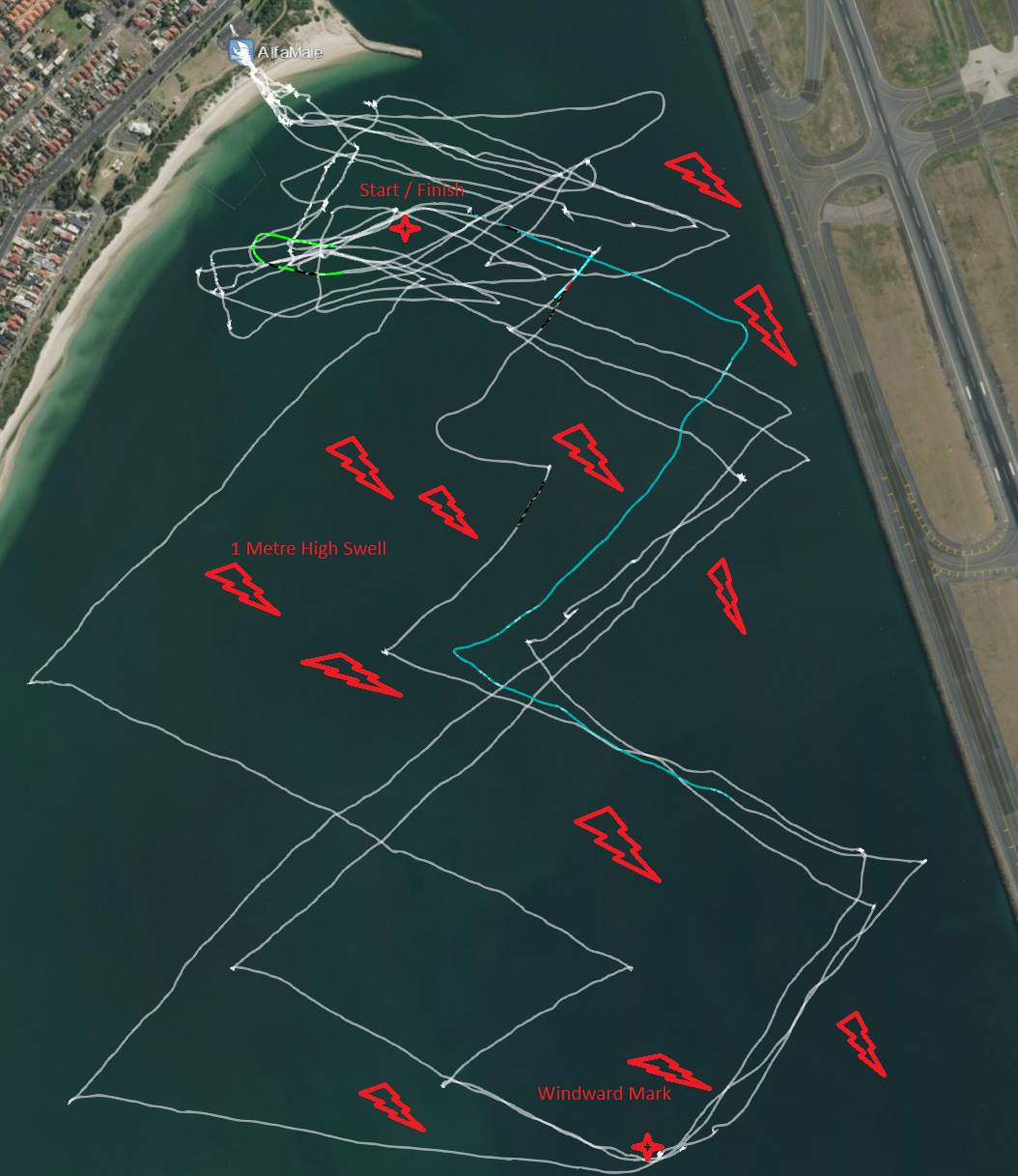 Alfamale Oz Champ Day2