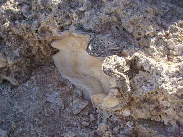 2000 years BC at The Gloo