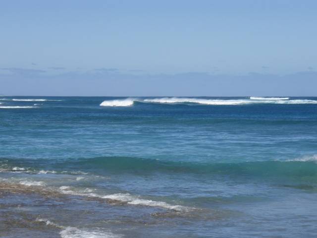 Outside Fencies at The Gloo