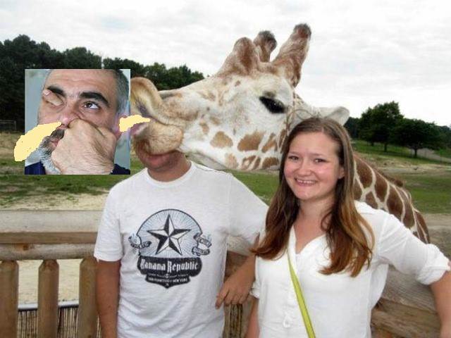 animal-photobombs-39