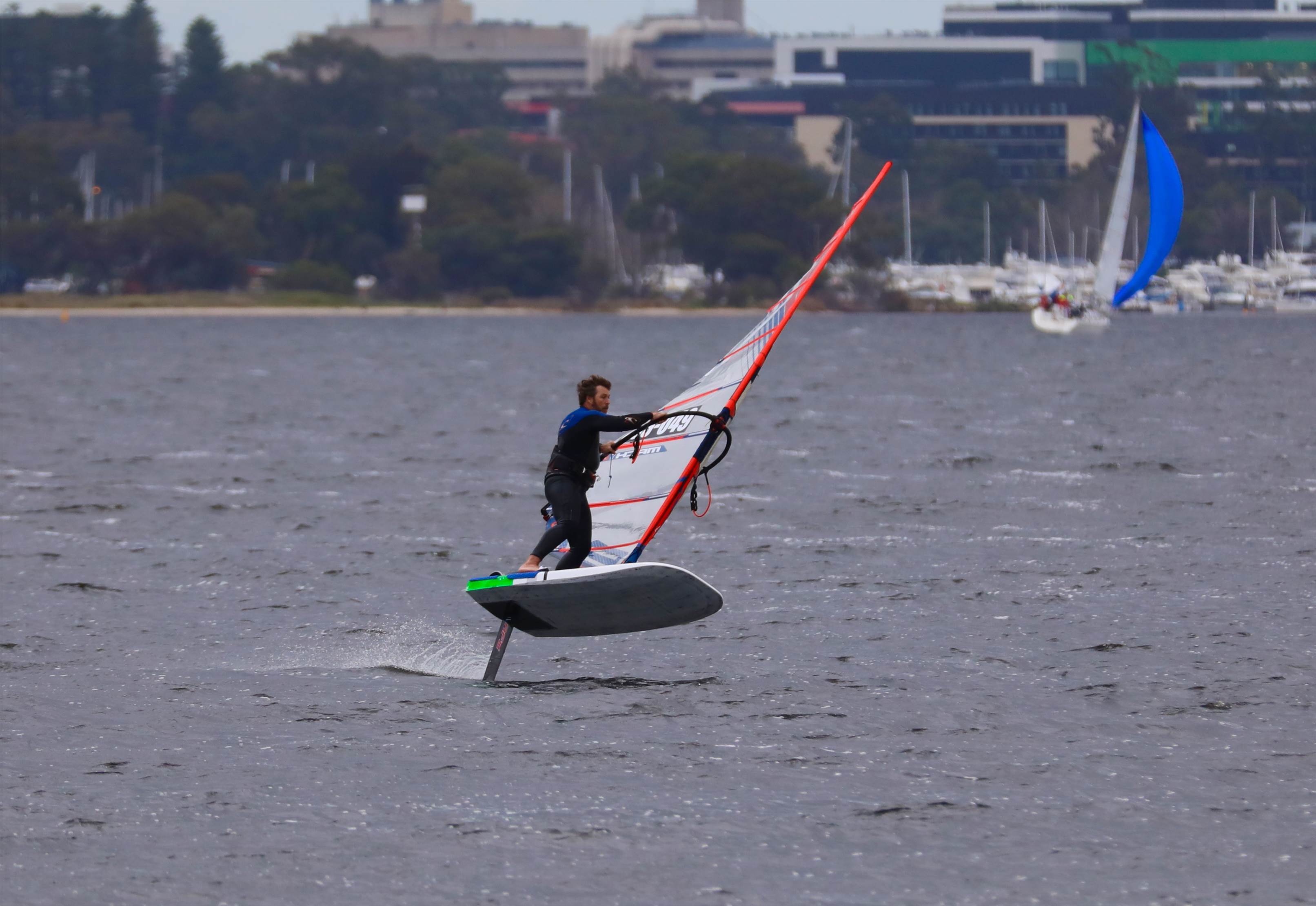 Foil Swan river