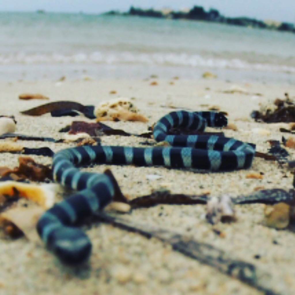 UNADJUSTEDNONRAW thumb 3666