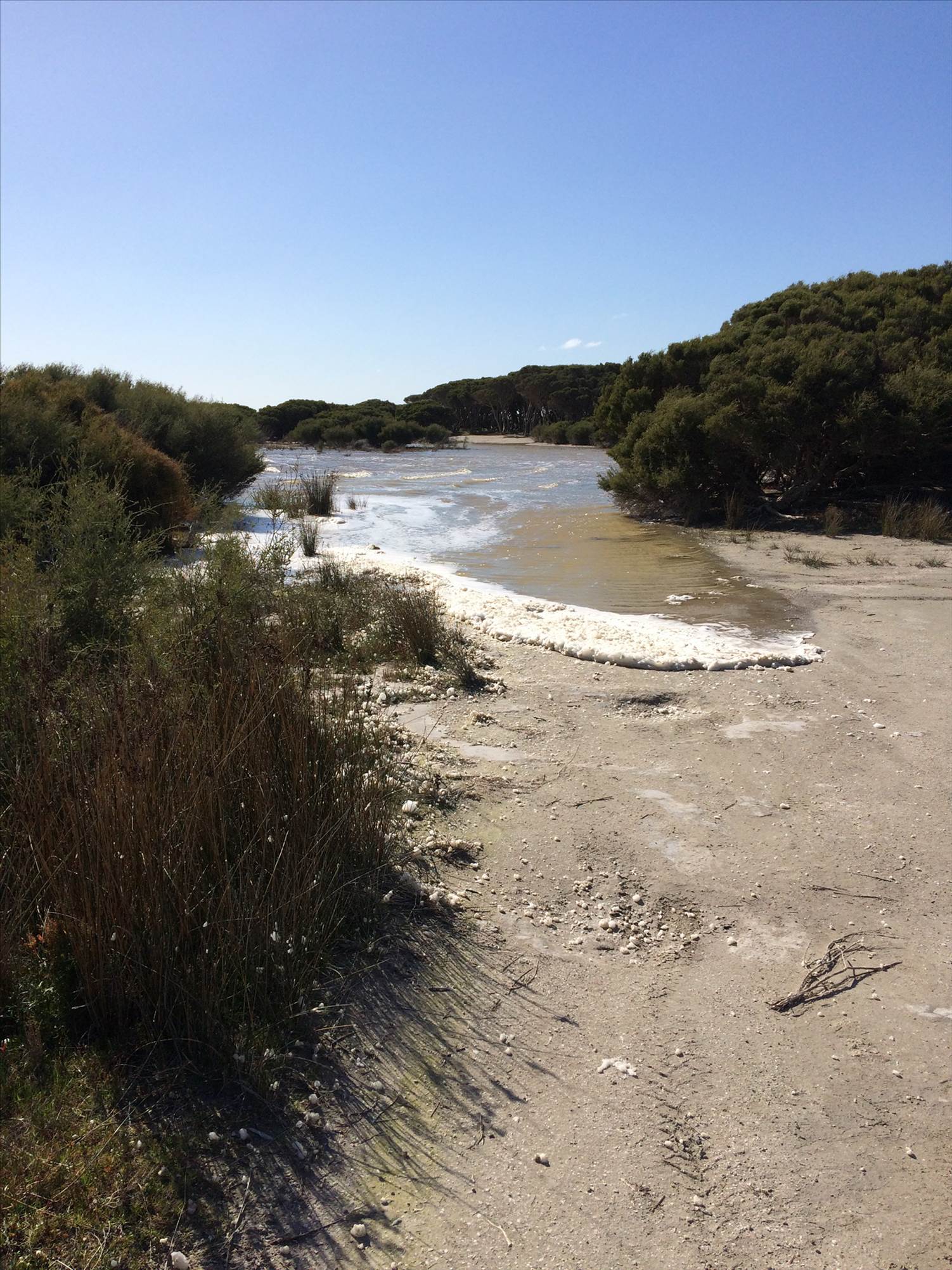 LG Aug 14th Packem Pt