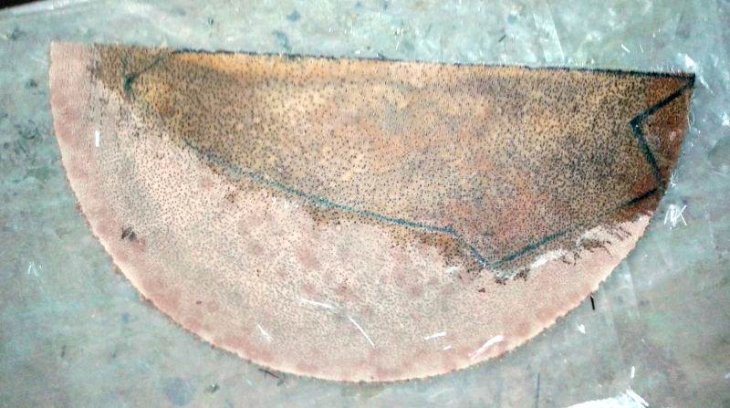 end grain palm fin 1st stage