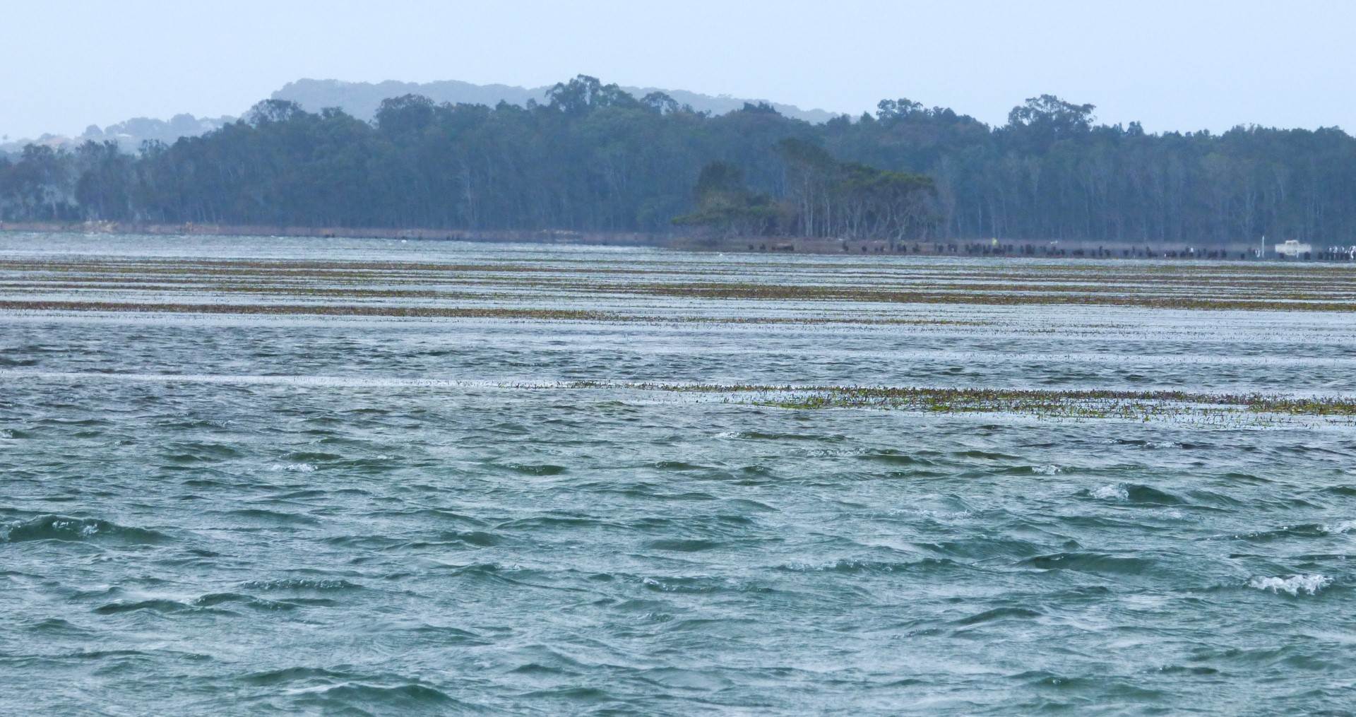 Wallis Lakes GPS event 2018 slalom