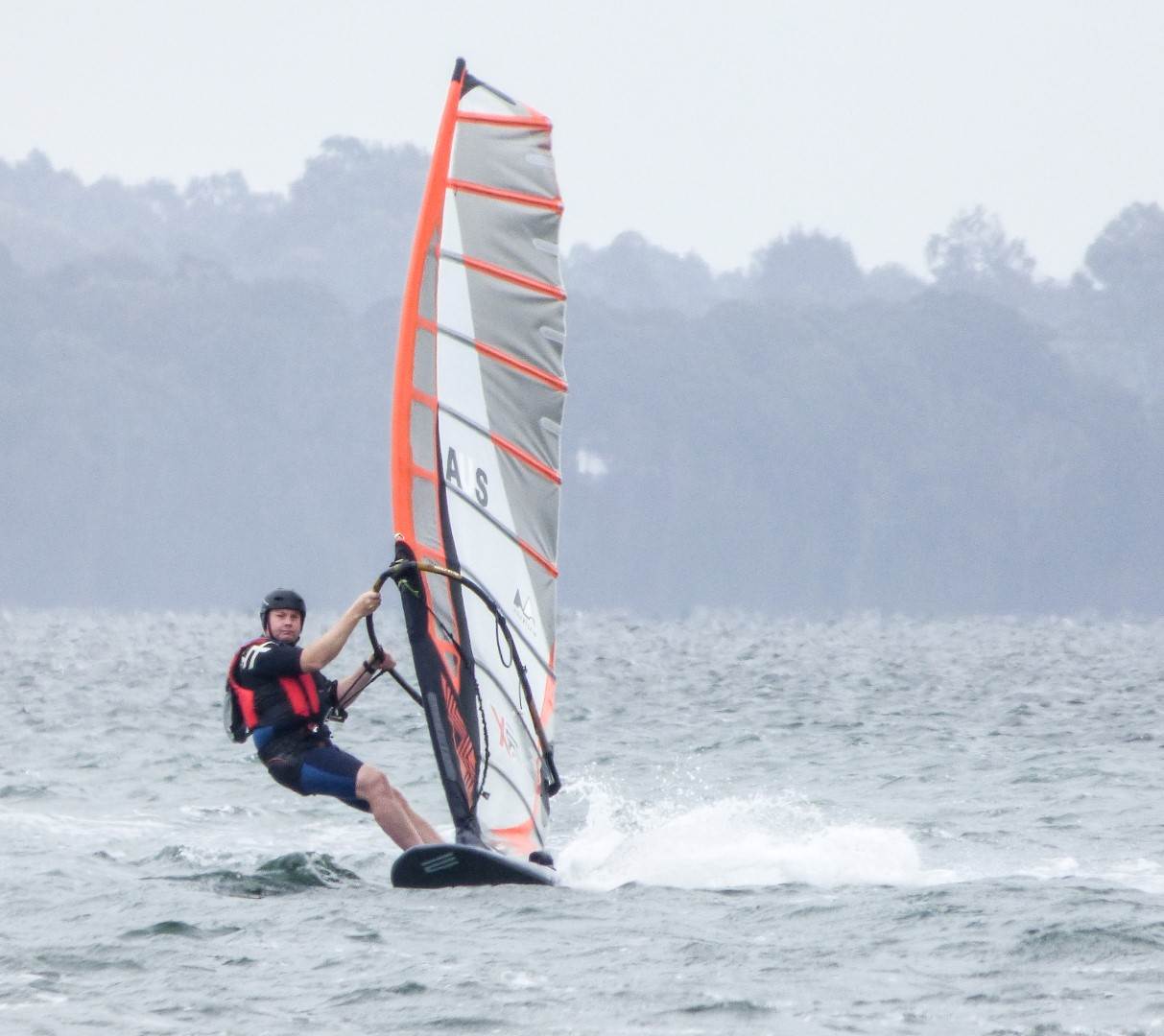 P1310419 - Copy (Large)