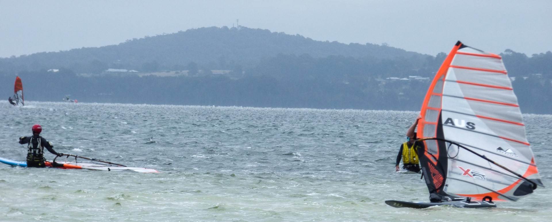 P1310427 - Copy (Large)