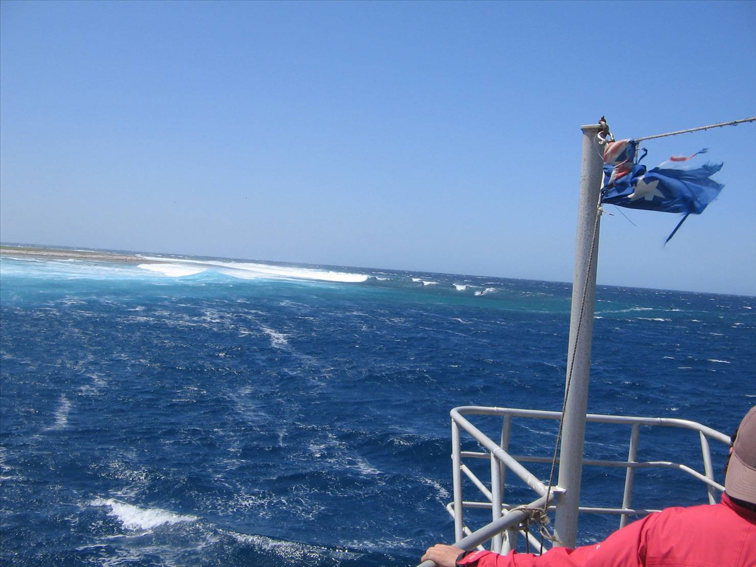 More shots from Abrolhos