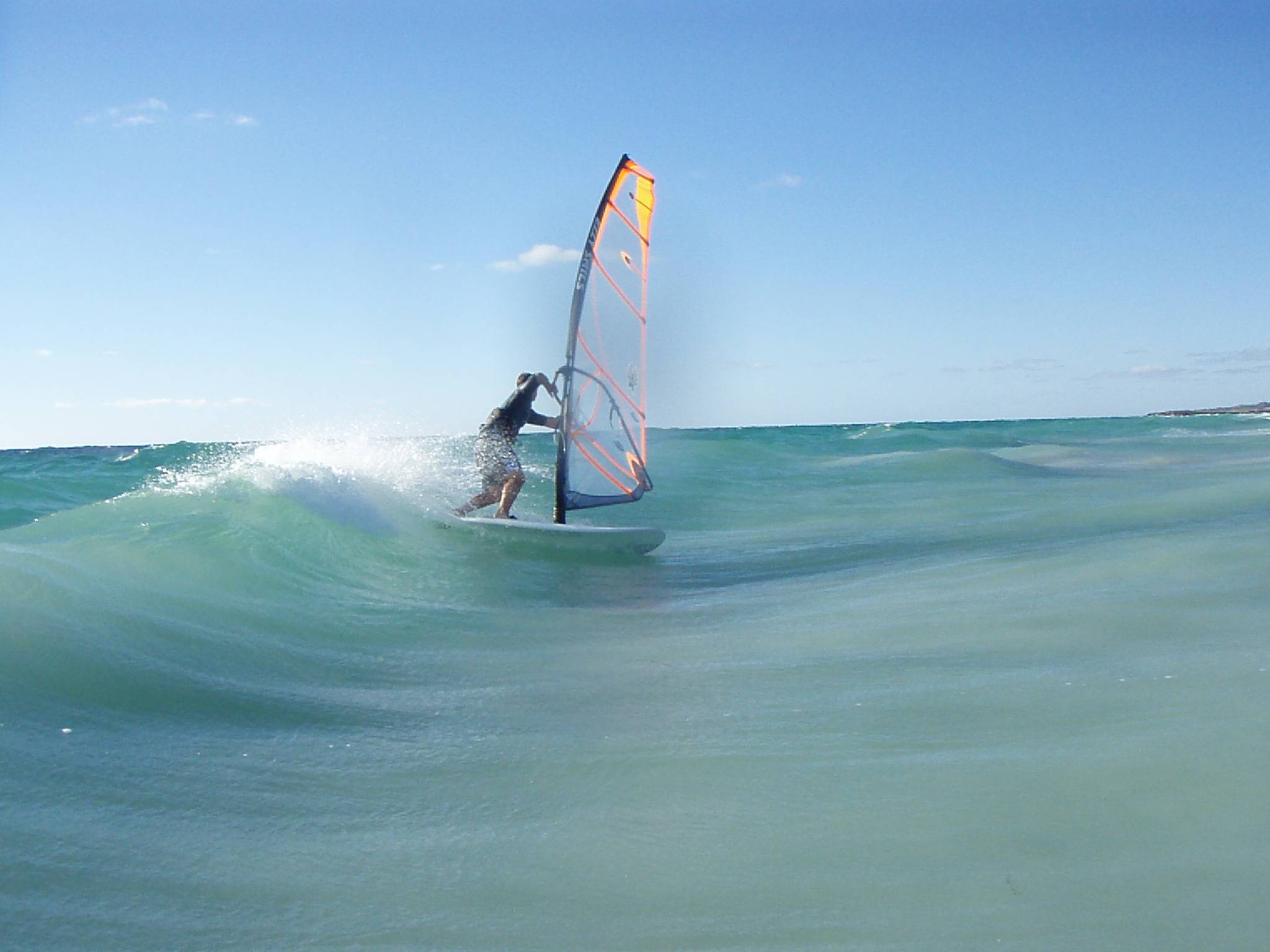 Leech having some fun