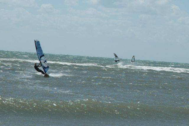 Seacliff - best day for a long time and over 2 dozen out