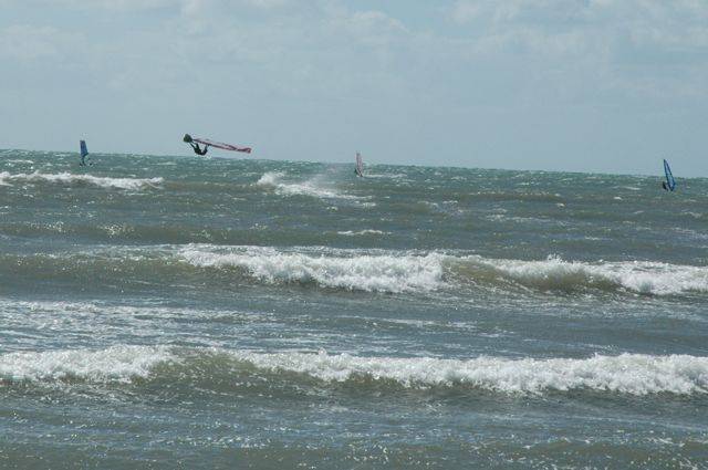 Seacliff - best day for a long time and over 2 dozen out