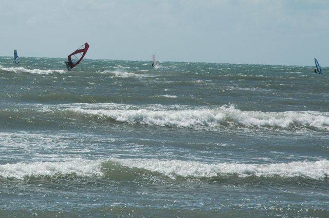 Seacliff - best day for a long time and over 2 dozen out