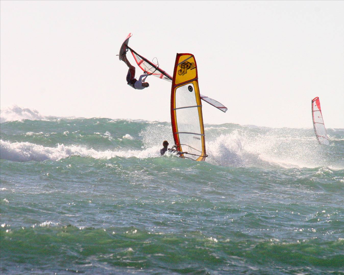 spotty going fast upside down