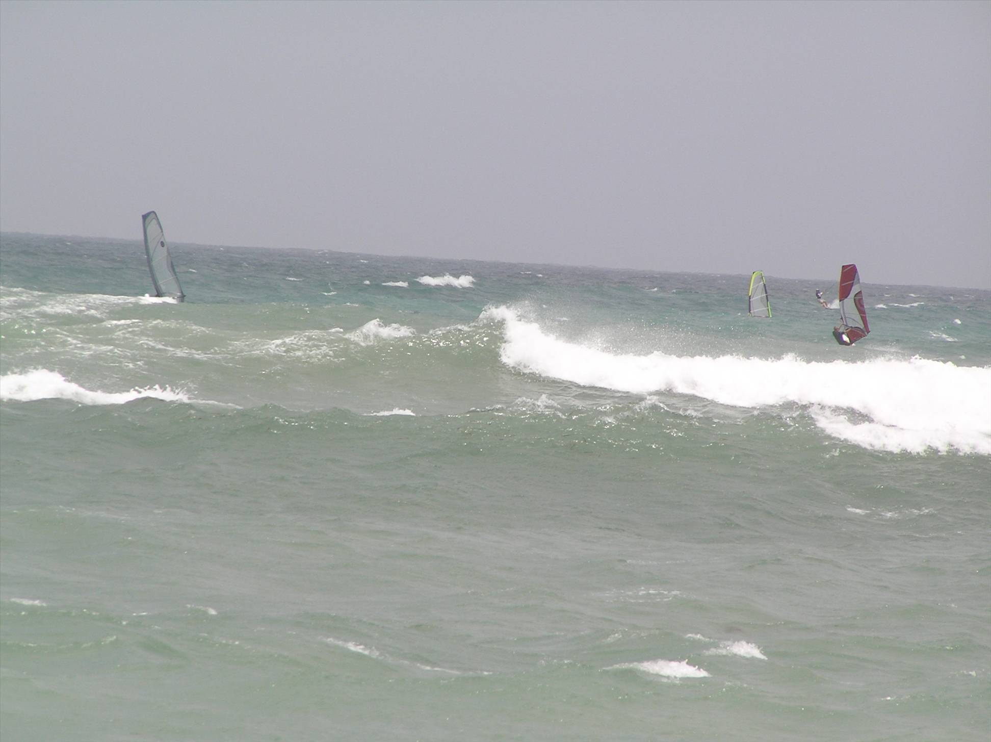 hot action shot  - my big backy.