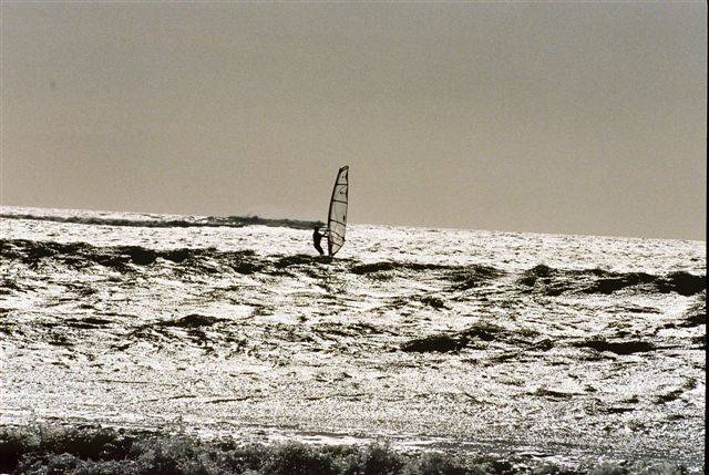 walkers rock monday7/1