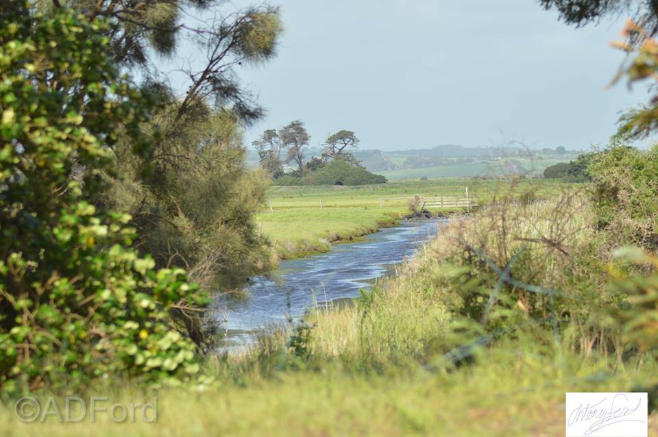 45355320 10157943291444972 7131624080670720000 n