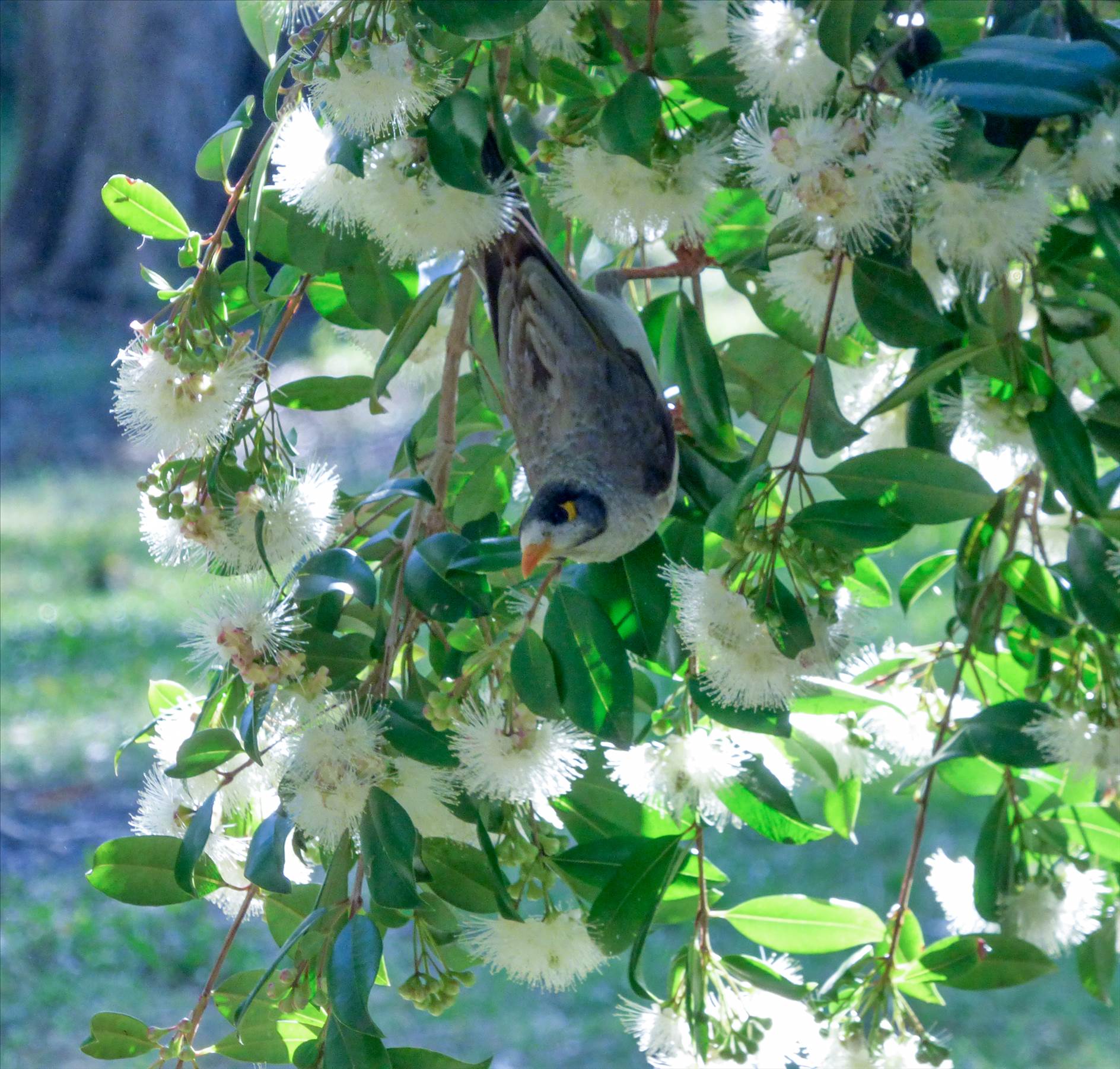 Myall Lakes GPS event  2018