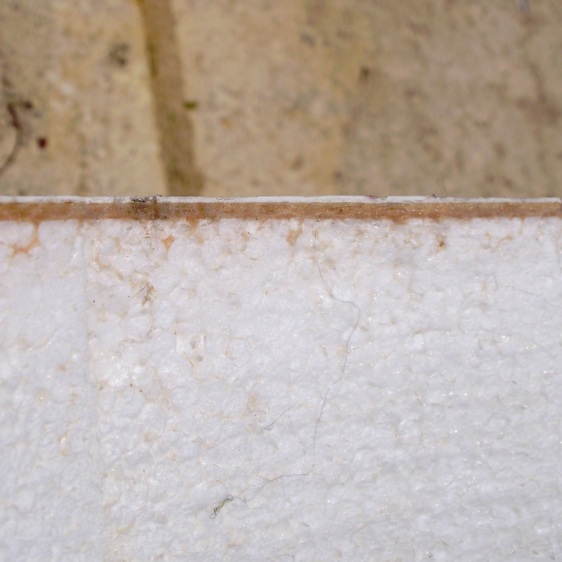 Cross section Plastic wrap construction