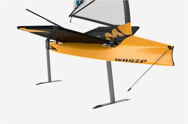 Moth showing 2 foils