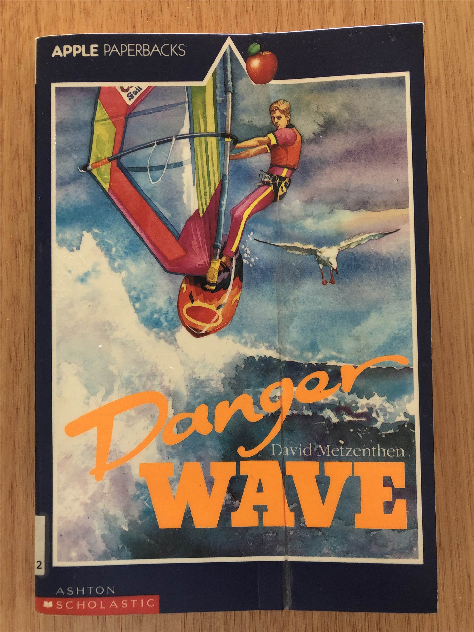 Danger Wave Book