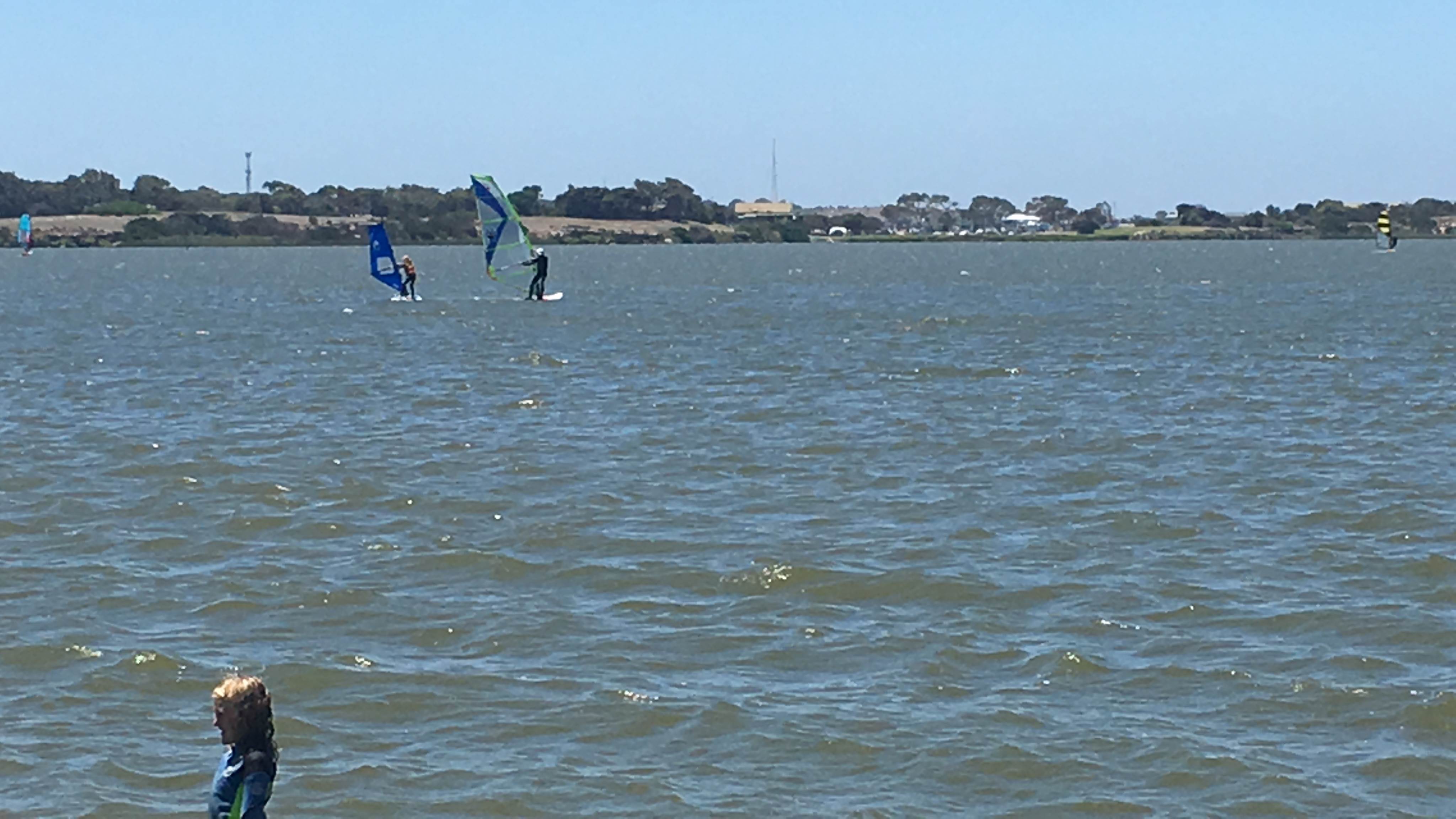 Family & Foil Day 20th Jan