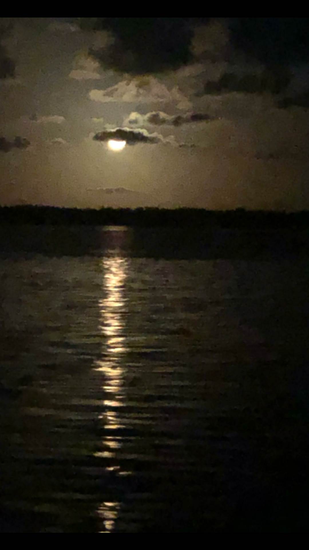 Screenshot 2019-01-22-21-22-22